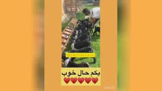ی کم حال خوب 😍😍😍
