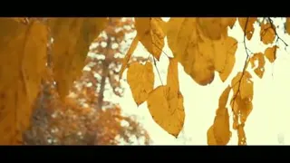 پاییز🍁