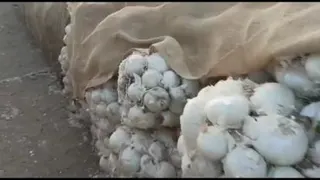 احتکار