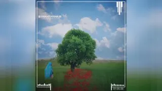 کنارغریو💓