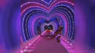 گل سرخ