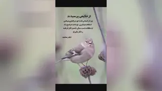 کلیپ فازسنگین کلیپ احساسی کلیپ