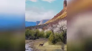 نقاشیHD