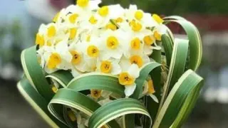 نحوه واکنش به حوادث و اتفاقات