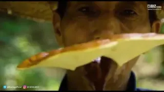 #کرونا