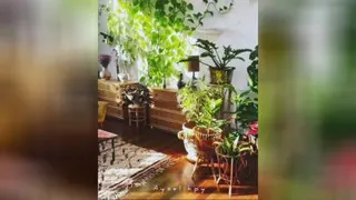 ارامش این ویدیو تقدیم به شما😍🌸