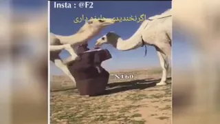 مزاحمت