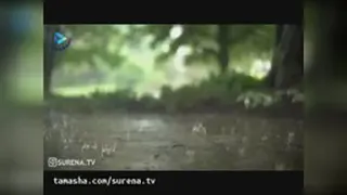 ایران بهشت
