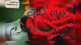 شکرگزاری