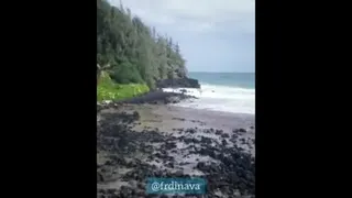 لحظه هارا دریاب