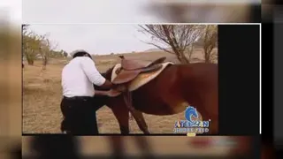 یادش بخیر سوار بر کلنل قهرمان مسابقت کورس ستارگان غرب کشور 1389