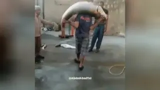 صید ماهی غول پیکر در جنوب ایران