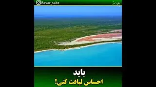 طبیعت زیبا