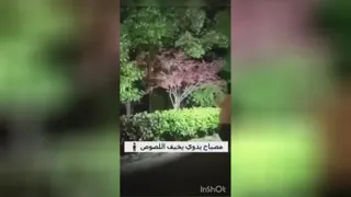 چراغ قوه سه کاره