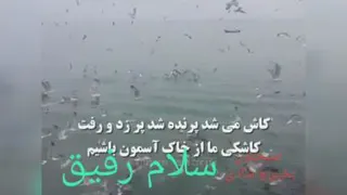 سلام رفیق