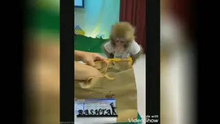 یک و پونصد
