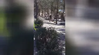 بهشت زهرا بیرجند 5