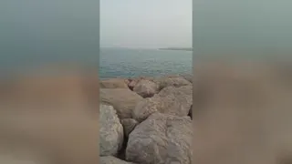 ساحل بندر عباس 199