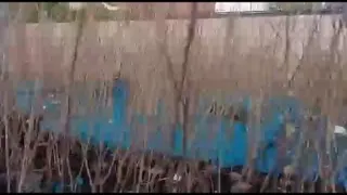 نهالستان نوع اندیشان