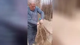 نهالستان نوع اندیشان