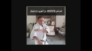 اجرای بخشی از کاتای تکی ساندان از سبک شوتوکان توسط امیر حسین البرز - Amir Hossei