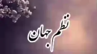 نظم جهان