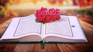 کتاب زندگی