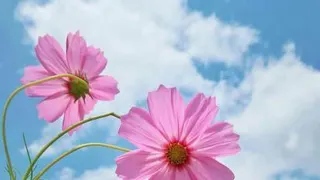 قلمرو احساسات