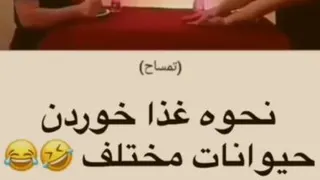 نحوه غذاخوردن حیوانات مختلف 😂