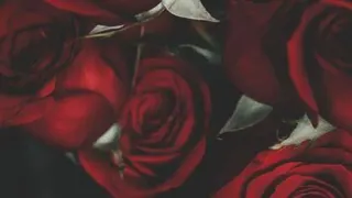 خدا صدای مارو میشنوه...