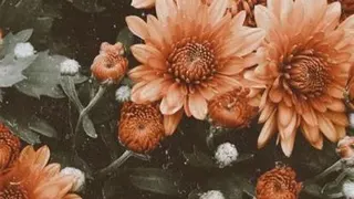 الهم عجل لولیک الفرج