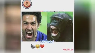 هر کی پرسپولیسیه لایک کنه