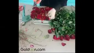 آموزش سخت باکس گل