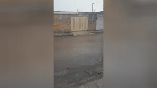 عجیب