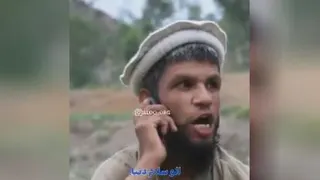 دنیا