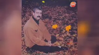 کوردی