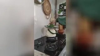 با یه ترفند ساده تو خونه سبزی خشک کن