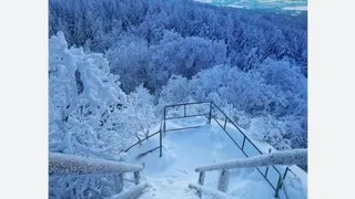 بارش زیبای برف در مشهد