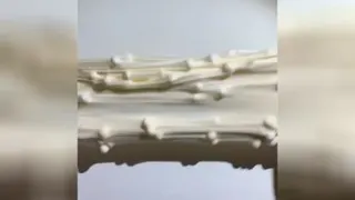 اسلایم
