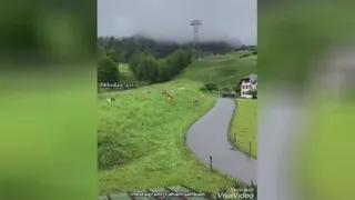 علم بهتر است یا ثروت