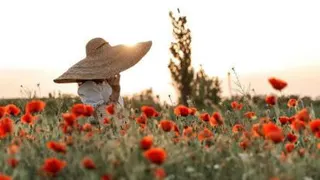 دکتر_علیرضا_آزمندیا