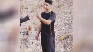 مرغ فروشی