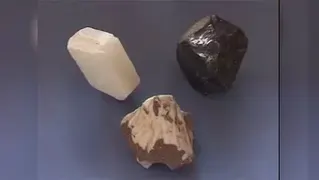 فیلم آموزشی علوم فصل هفتم پایه اول دبستان