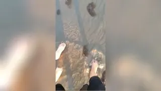 عشق دل