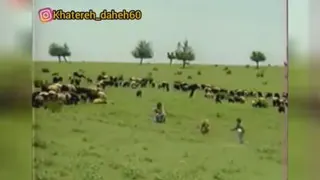 تیتراژ برنامه سیمای نوجوان
