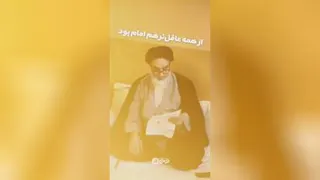 الگوی زندگی