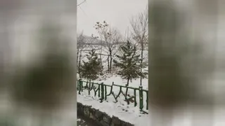 توچال آذر 1401
