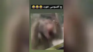 افسوس قرن