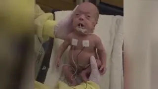 شاهکاری از خلقت