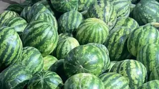 نو آوری